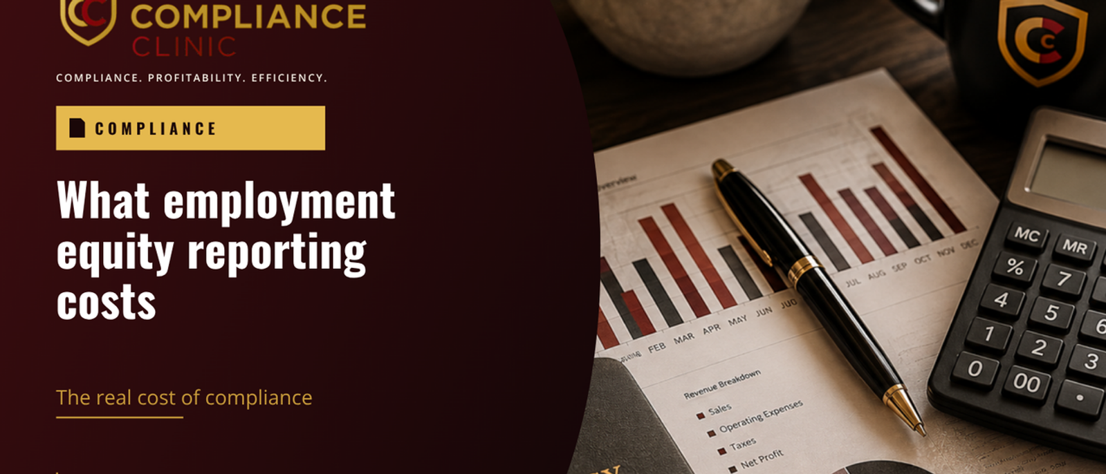 What employment equity reporting costs