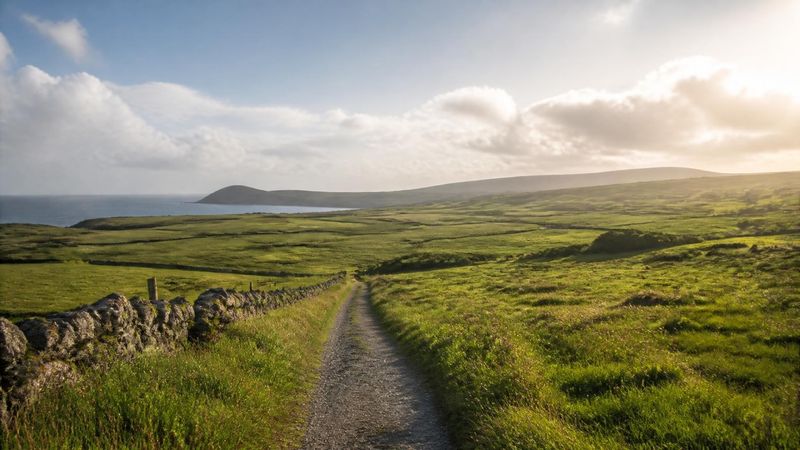A sunlit path through green Irish fields, representing when HRT may be particularly helpful