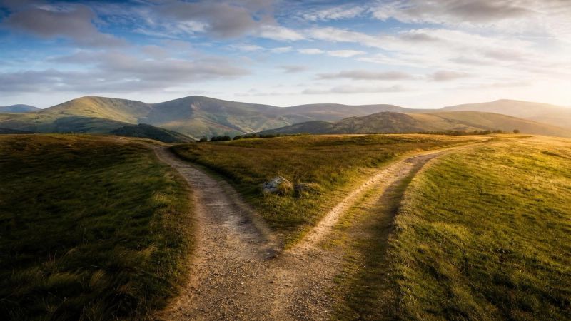 Two diverging paths in an Irish landscape, symbolising the difference between low confidence and social anxiety