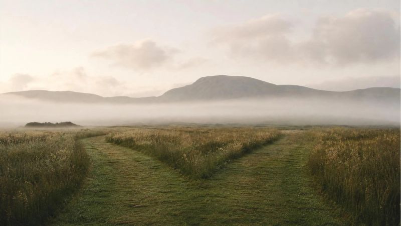 Two quiet paths through an Irish meadow, representing different types of loneliness and how to deal with them
