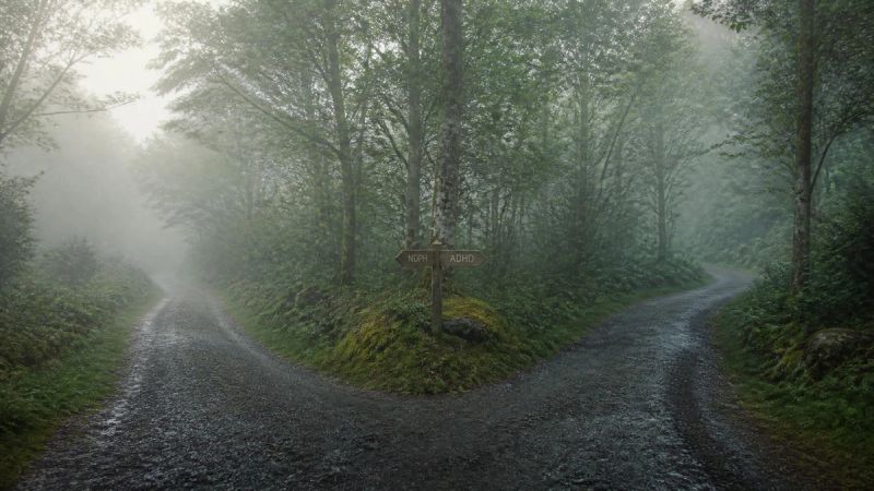 Two paths in a misty forest, symbolising the difference between sleep anxiety and insomnia