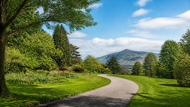 A peaceful Irish park with a pathway and trees, representing common outdoor childhood fears like dogs or insects