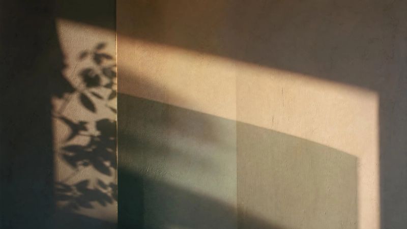 Abstract overlapping shadows and light on a wall, symbolising how childhood trauma shows up in adults