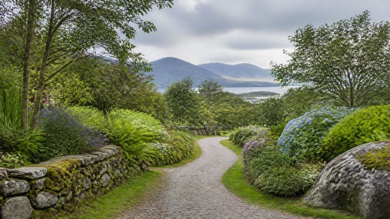 A peaceful Irish garden path under a soft sky, representing hope and recovery for children with phobias