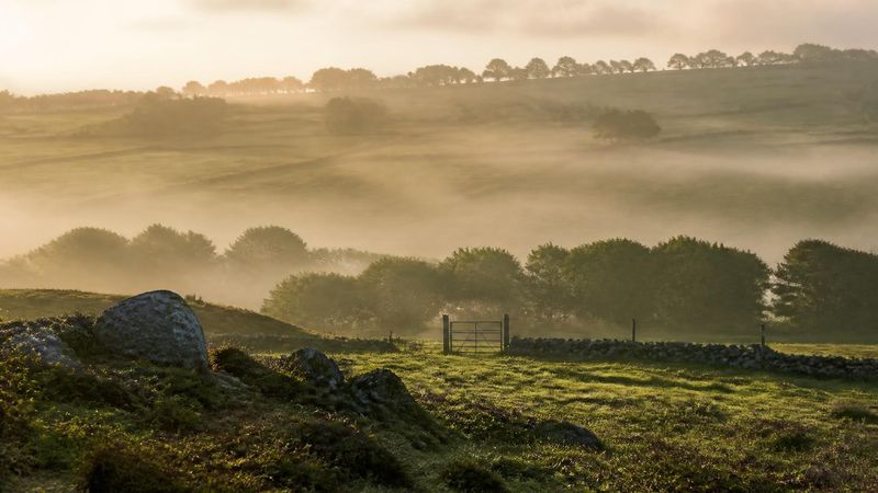 A soft-focus photograph of mist over an Irish field, symbolising perimenopause brain fog