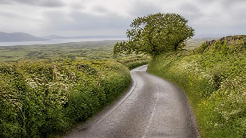 A peaceful Irish country lane, representing the many paths that help menopause depression