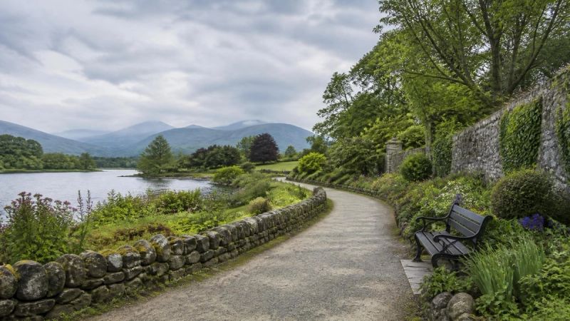 A peaceful Irish garden or park path under a soft sky, representing hope and recovery from phobia