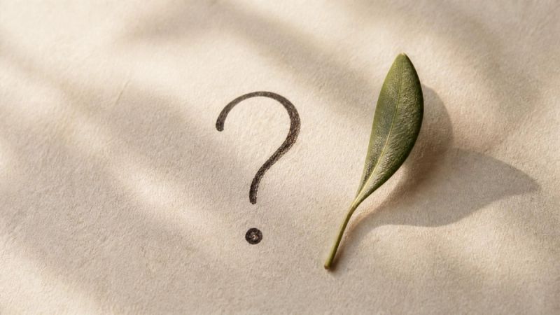 A simple FAQ concept with a handwritten question mark