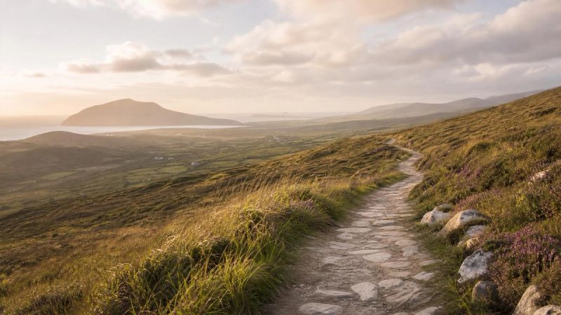 An open path through a peaceful Irish landscape, symbolising recovery from Pure O through therapy