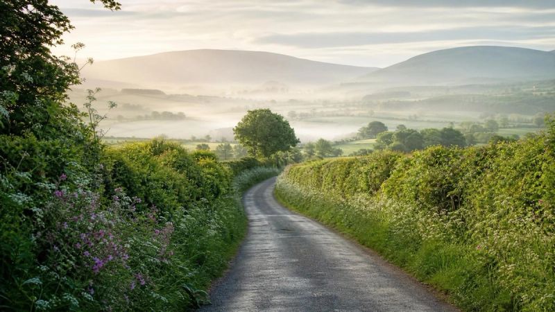 A quiet Irish countryside lane lined with green hedges, representing the journey to support