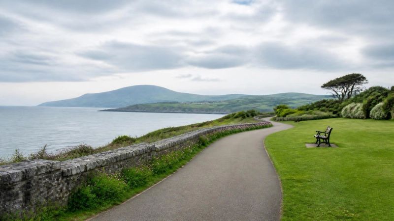 A peaceful Irish coastal or park scene with an open path, representing clarity and moving forward