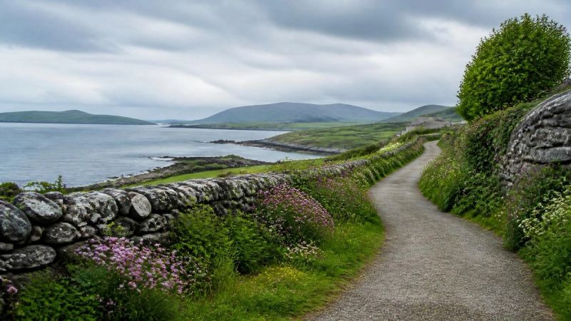 A peaceful Irish coastal or garden path under a soft sky, representing hope and recovery