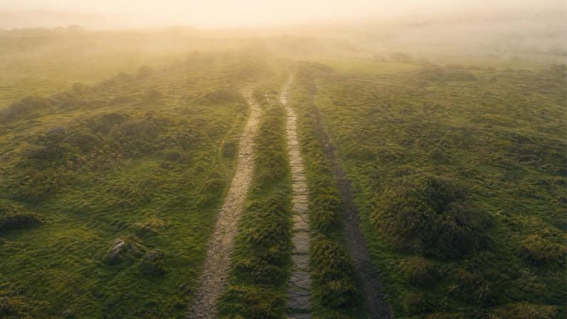 Three parallel paths through an Irish meadow, symbolising the three presentations of ADHD: inattentive, hyperactive-impulsive, and combined.