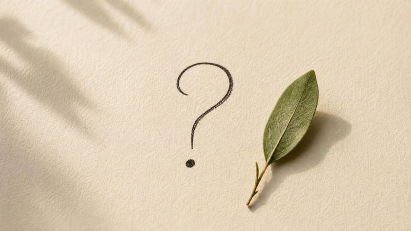 A simple FAQ concept with a handwritten question mark on a soft cream background