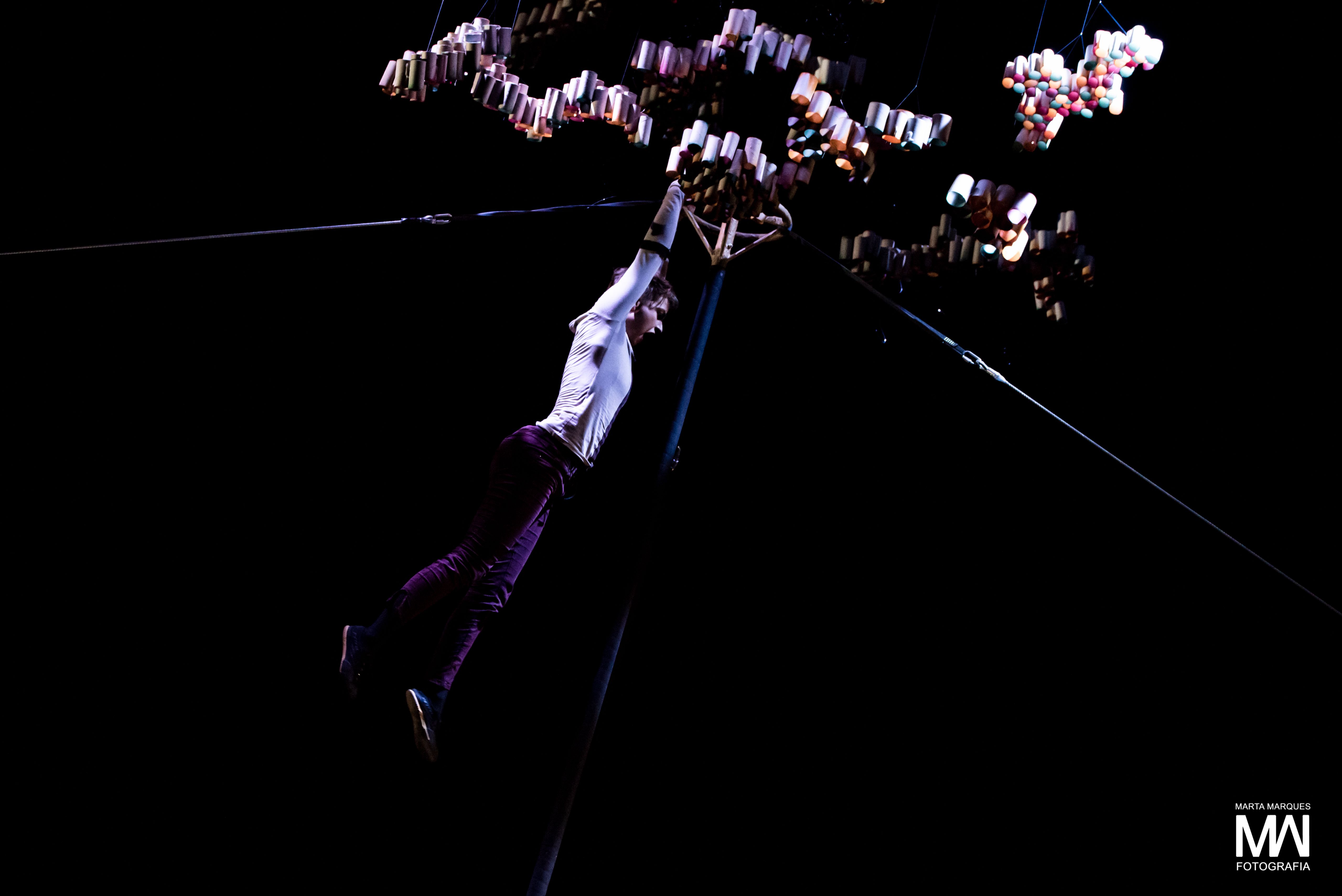 freefall Sabeth Dannenberg