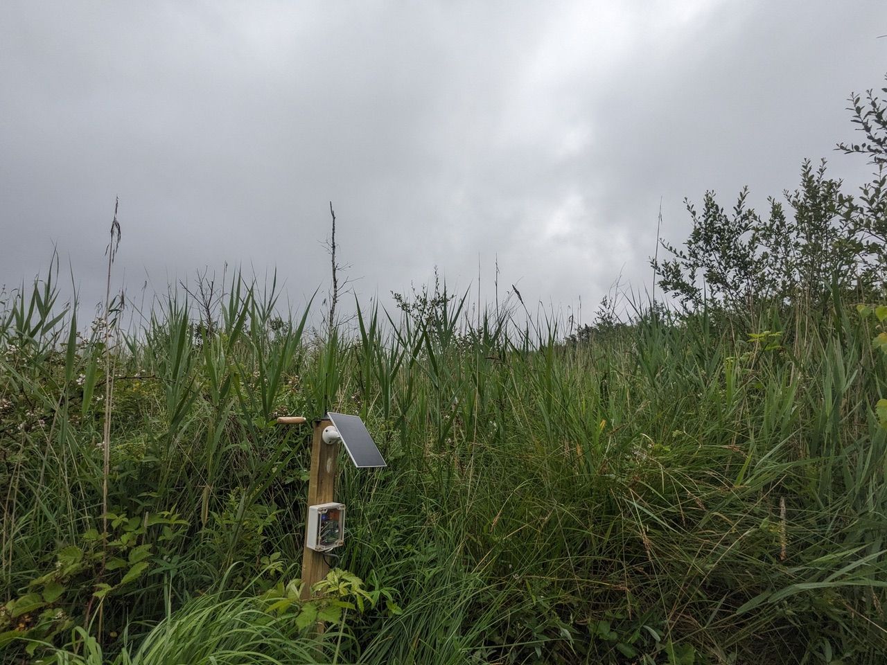 Foto von einer Wiese und Himmel, mit einem kleinen Holzpfosten auf dem eine Solarpanele befestigt ist