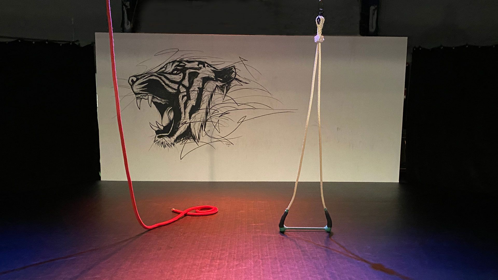 acrobatic equipment hanging from the ceiling