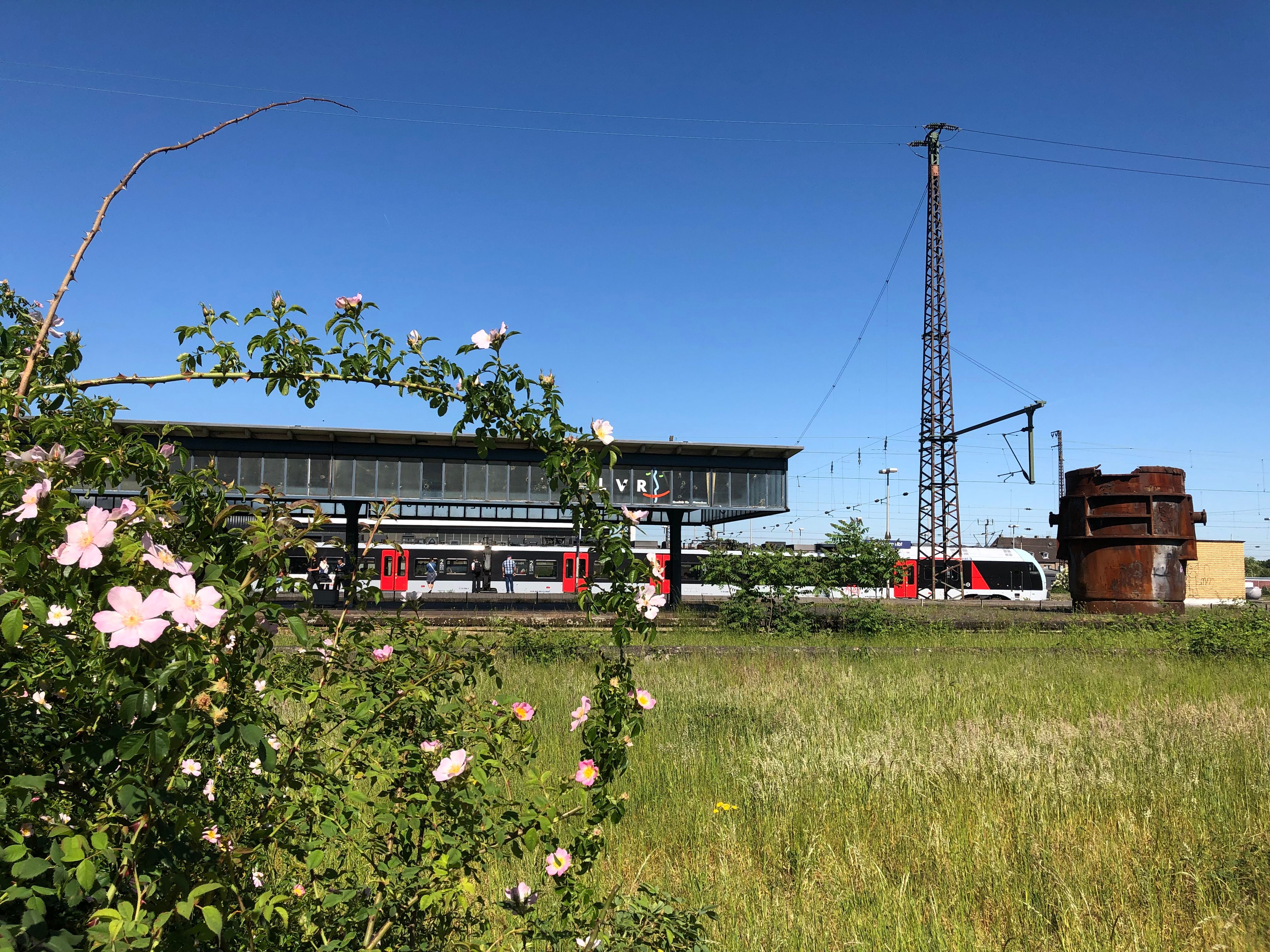 Shows the platform in summer