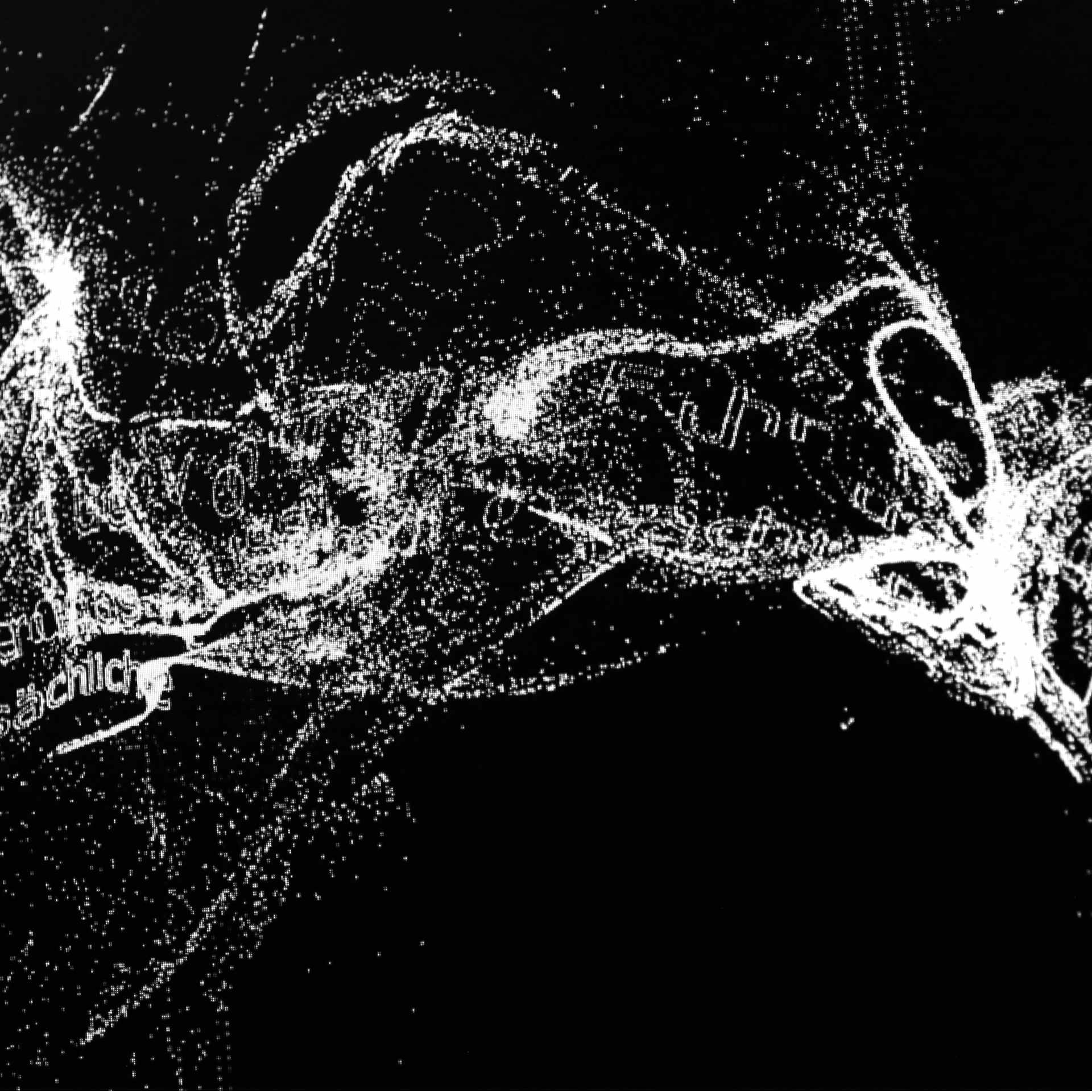 digital artwork in black and white