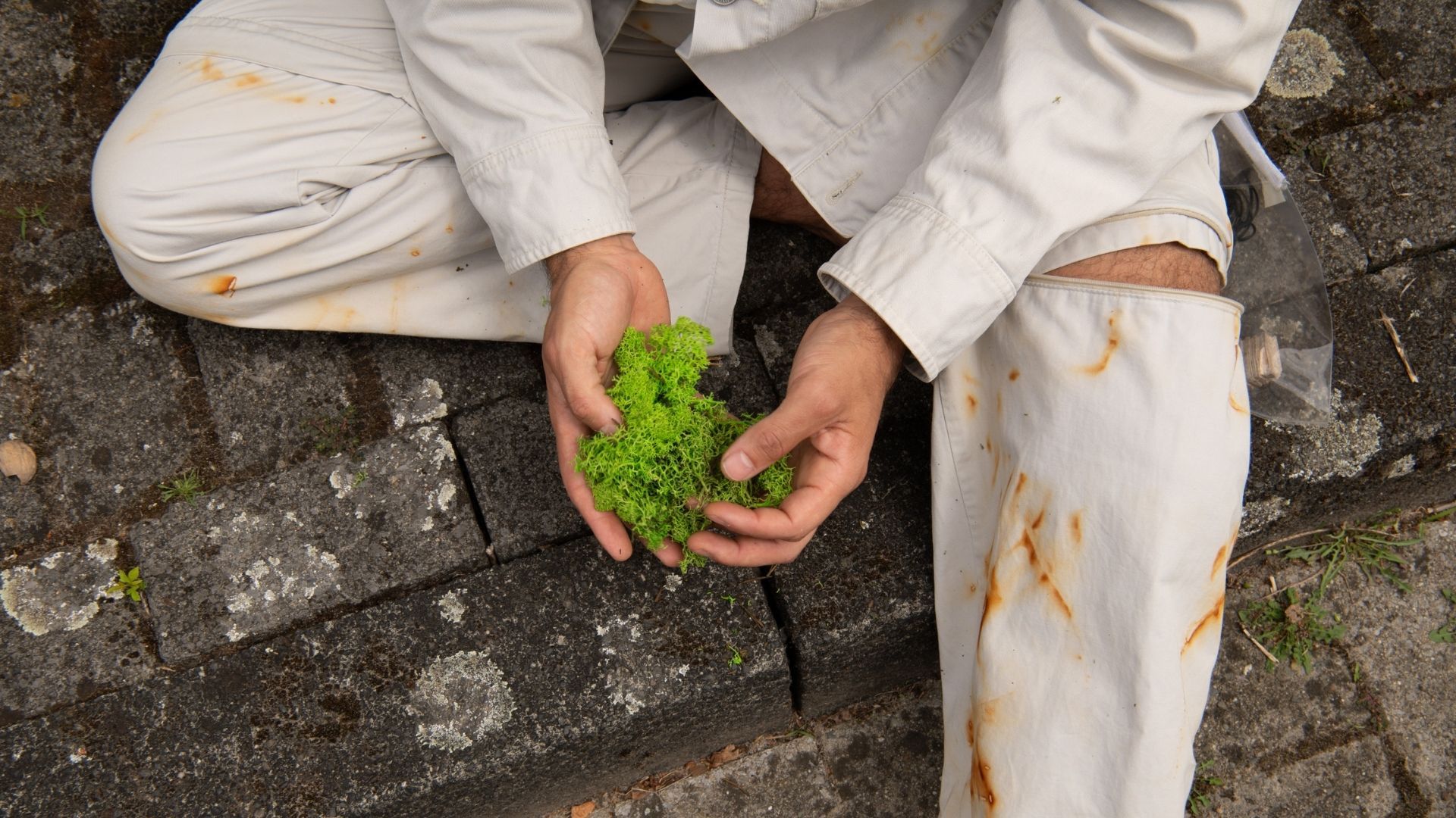 Person in a white suit sitting on the ground and holding weeds in his hand