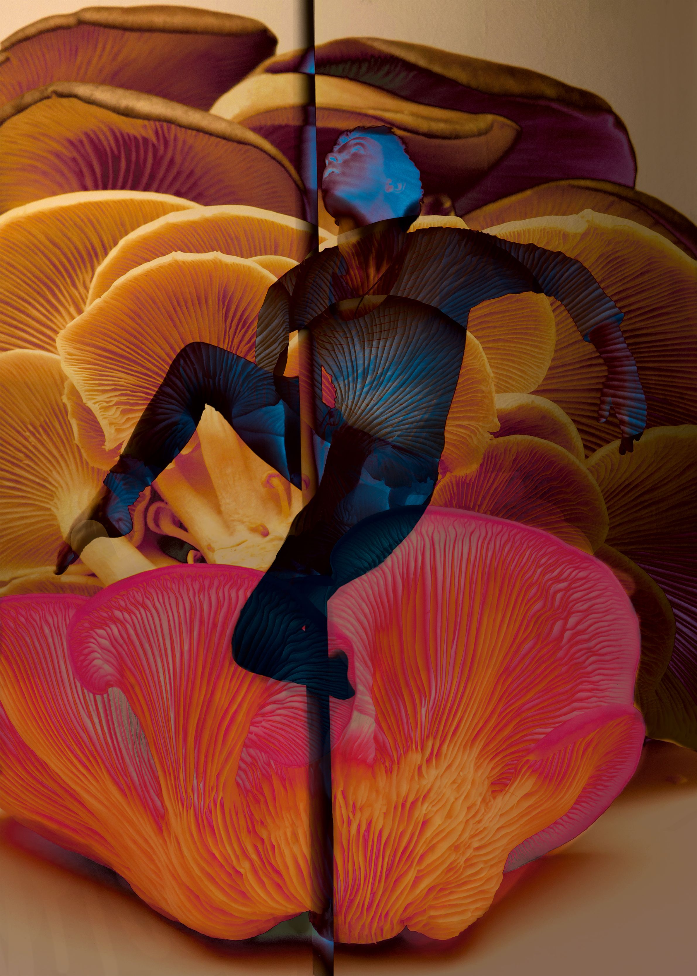 Sabeth Dannenberg GAIA