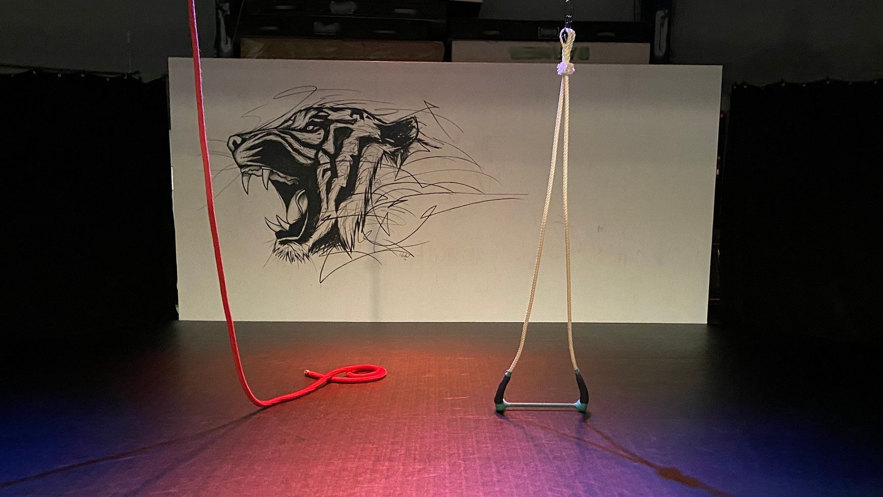 Picture of two circus training tools