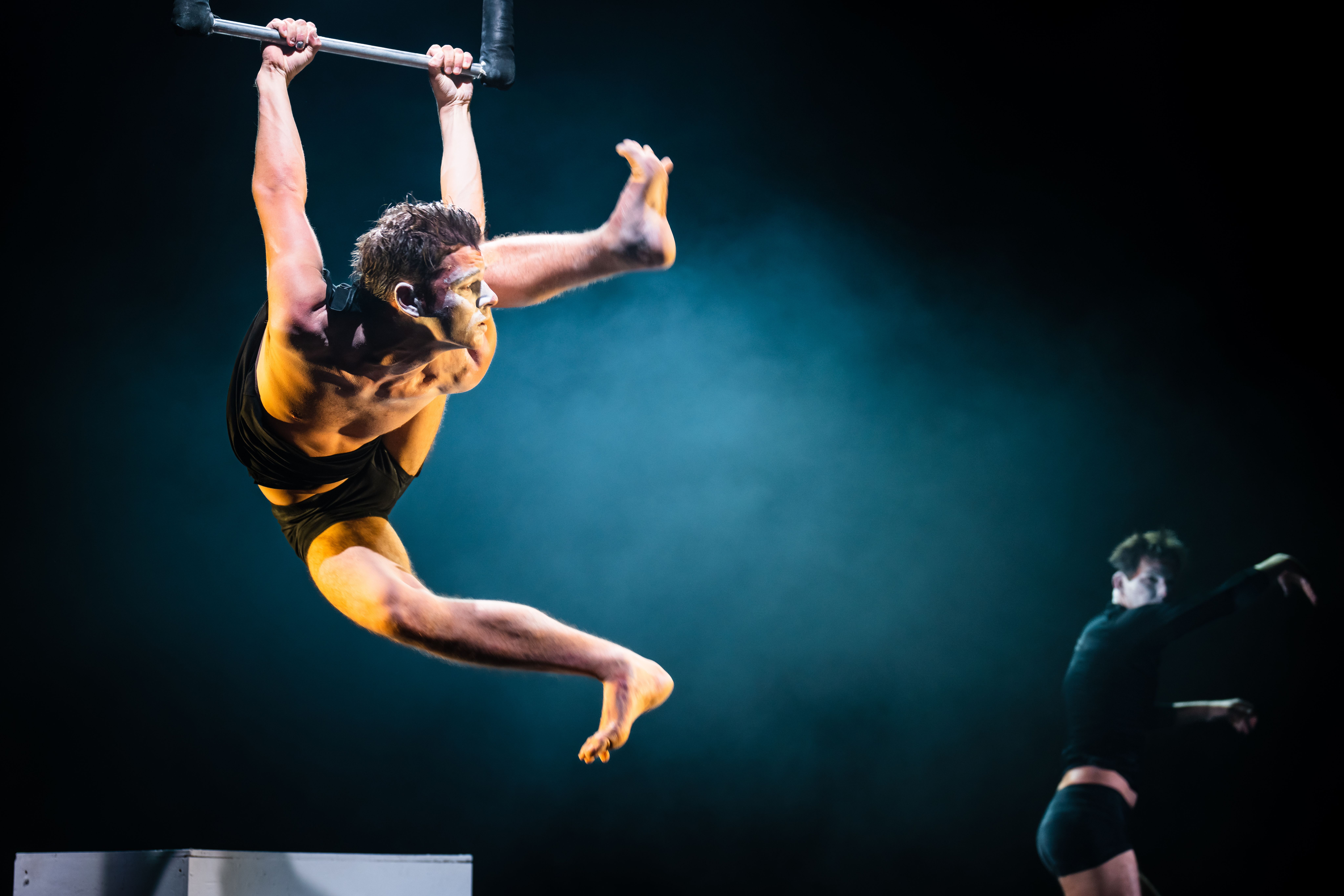 You are viewing an acrobat. The person is hanging from a trapeze with their hands. Another artist can be seen in the background.