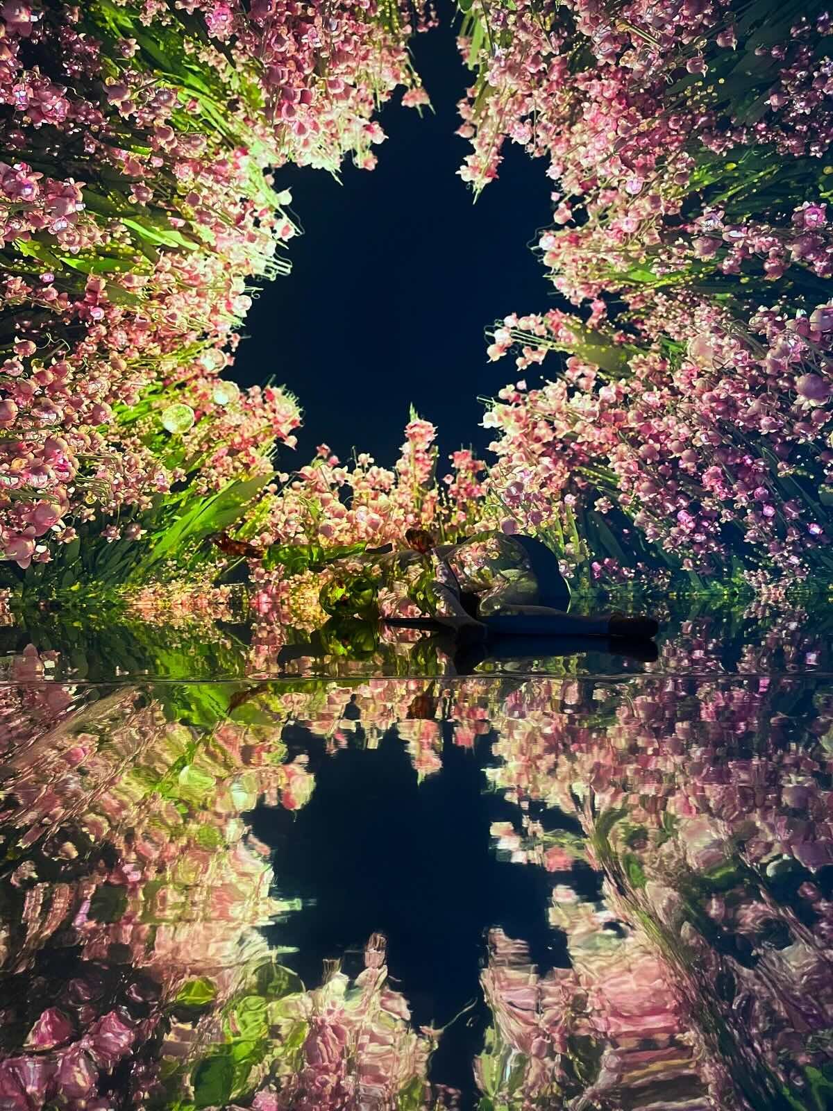 Lichtprojektion mit rosa Blumen, die sich spiegeln