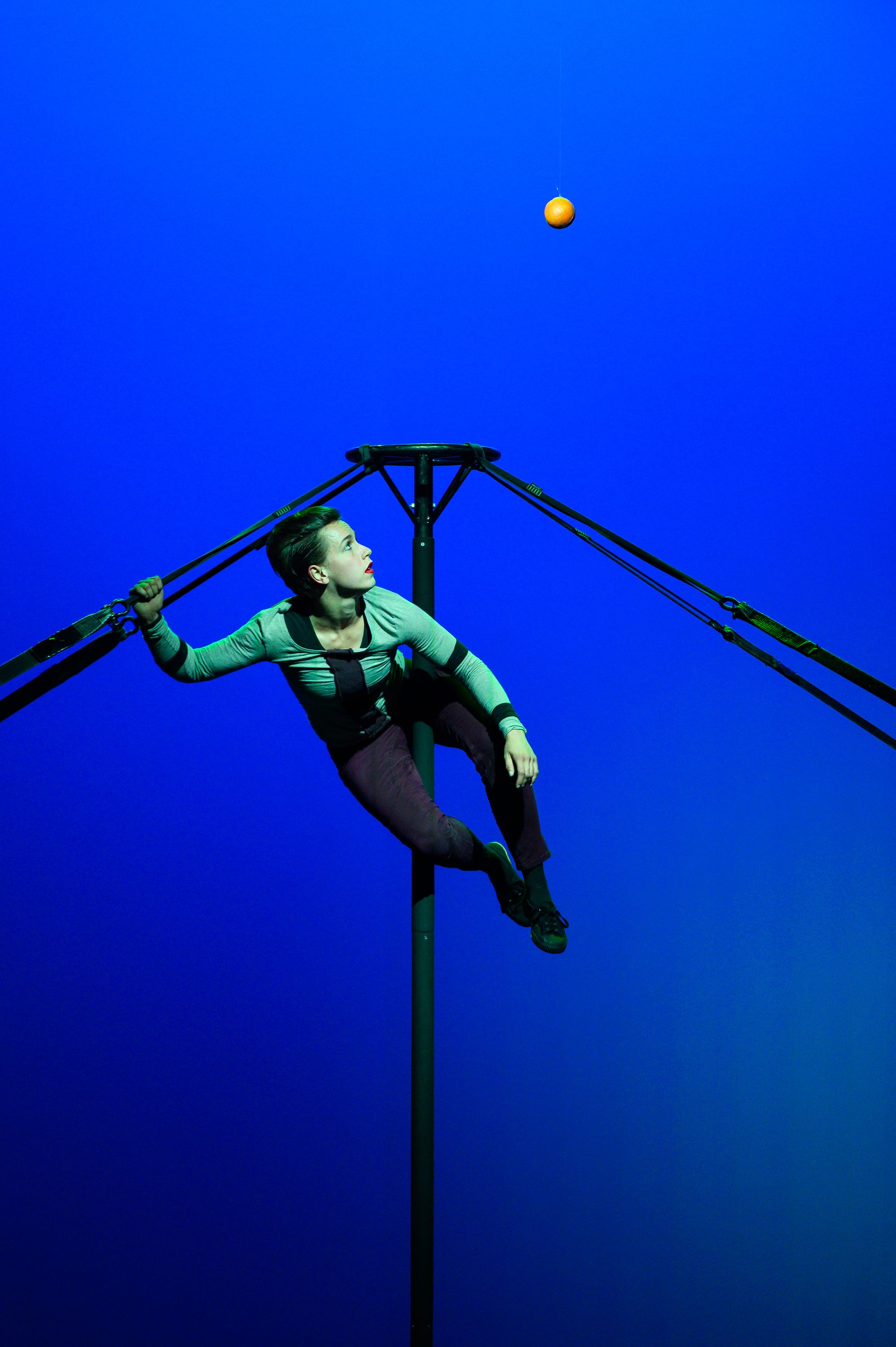 Sabeth Dannenberg Orangenbaum