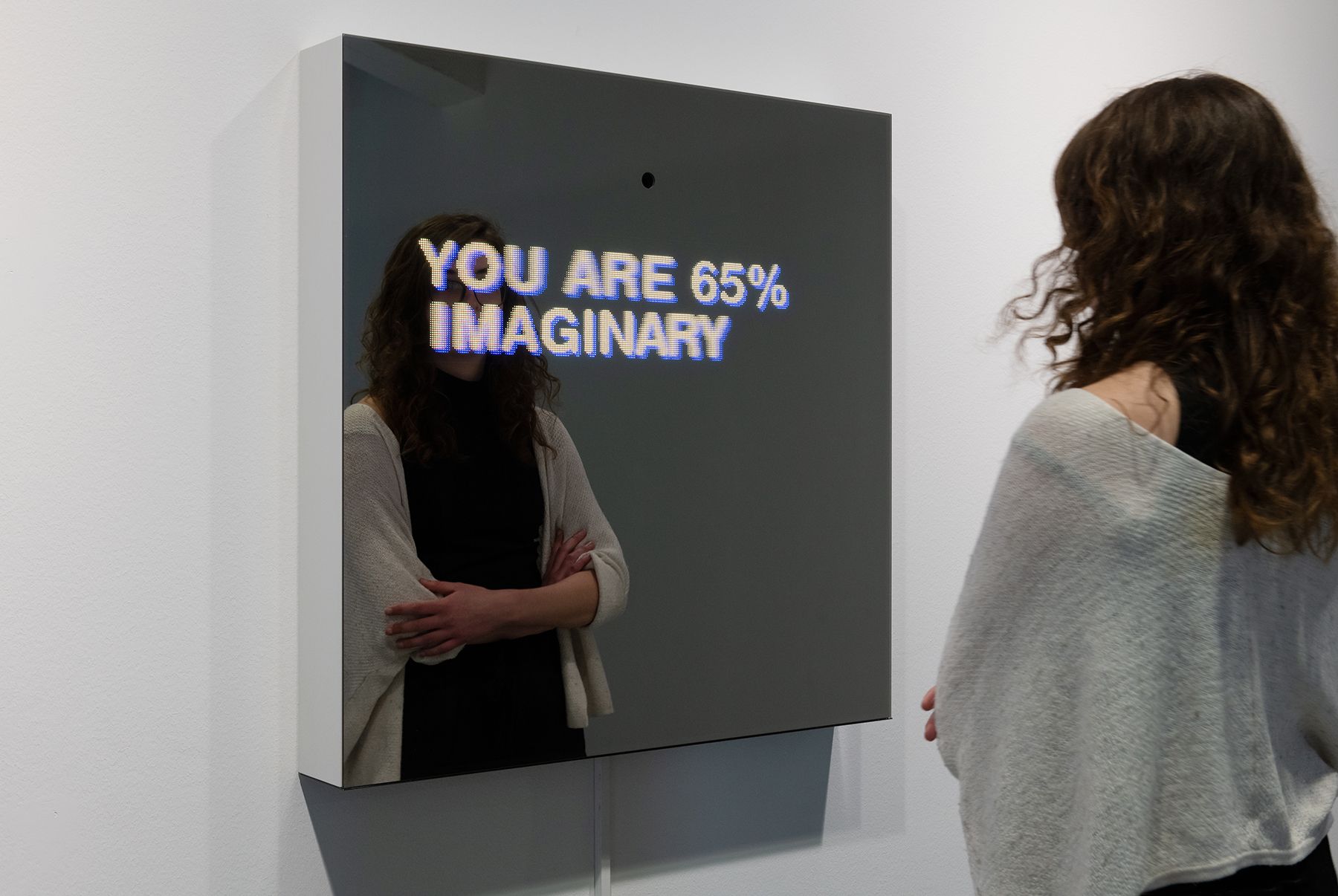 Sebastian Schmieg, "Decisive Mirror“, 2019