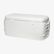 Cooler 120QT