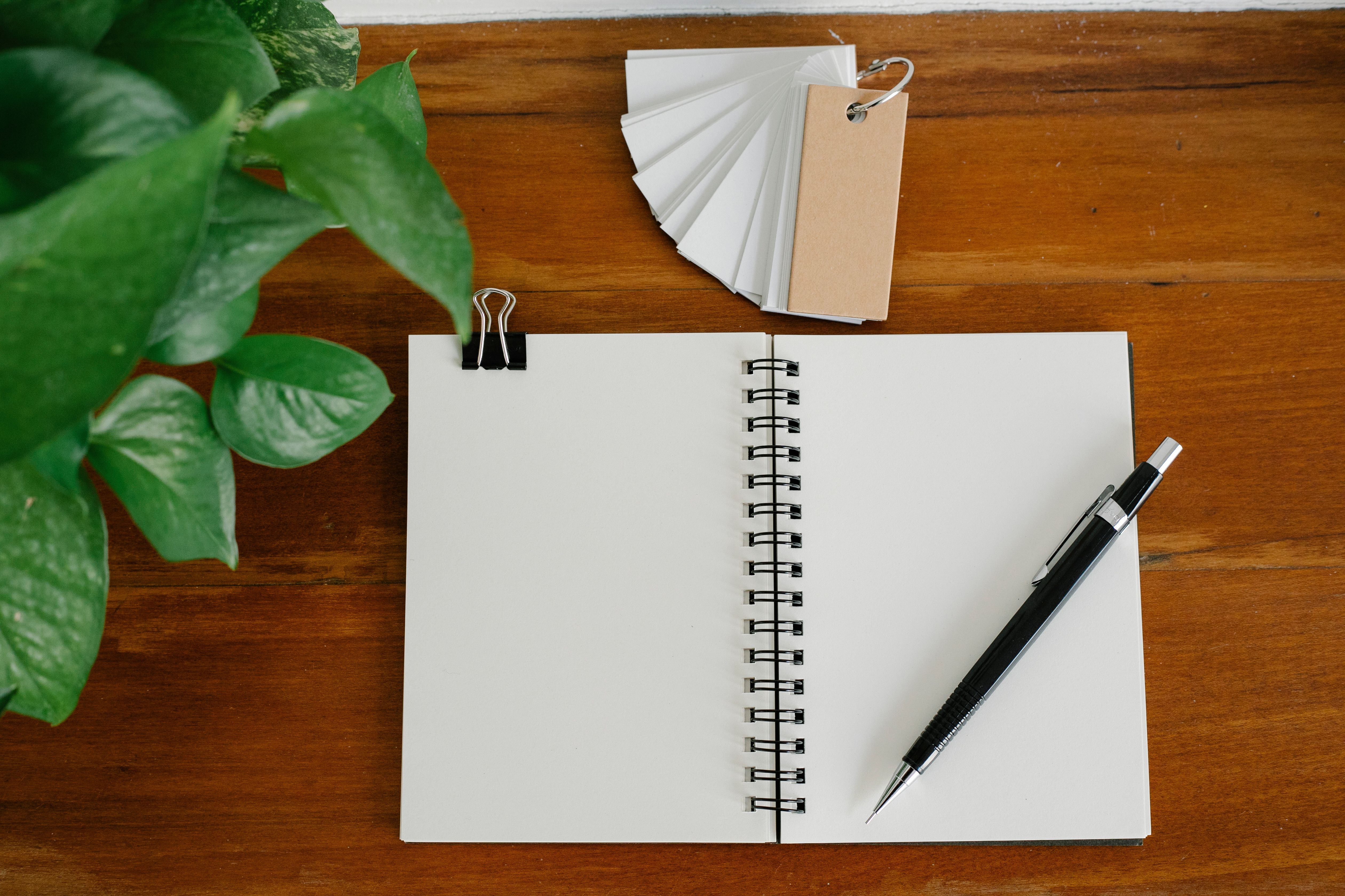 Open blank notebook and pen beside paper tags and a green plant on a wooden desk.