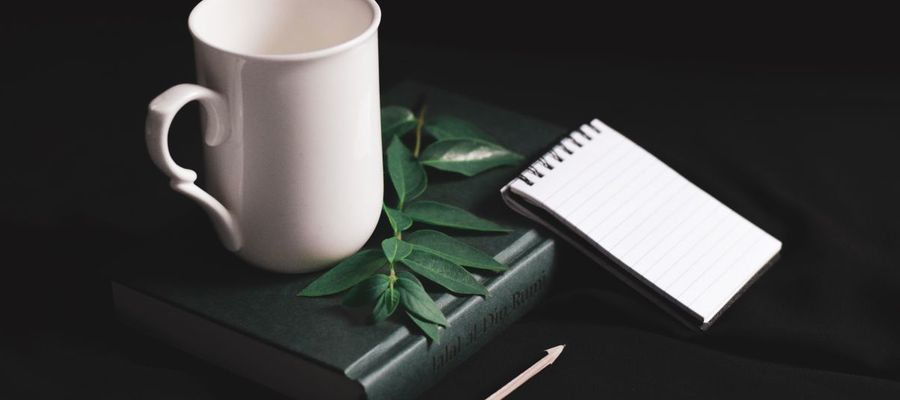 A notebook, pencil, white mug and green leaves against a dark desk.