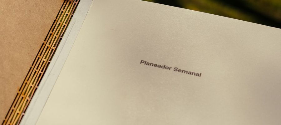 An open weekly planner in natural sunlight.