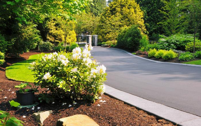 Trenchless Drain Repairs: What They Are and When They're Used