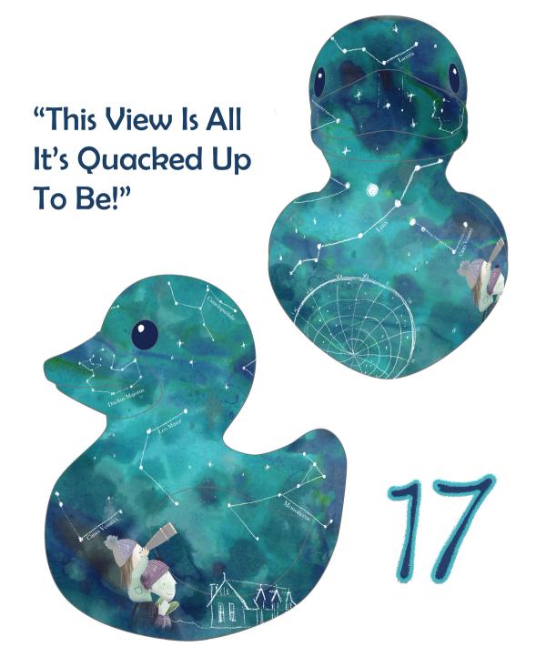 Ay Up Me Duck trail cover illustration