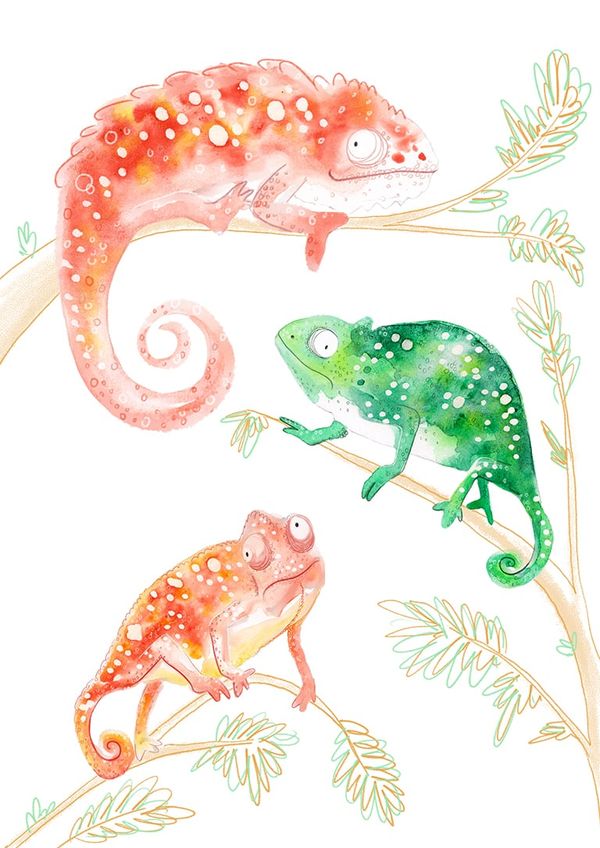 Colourful illustrated chameleons