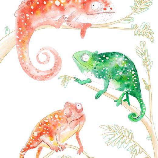 Colourful illustrated chameleons