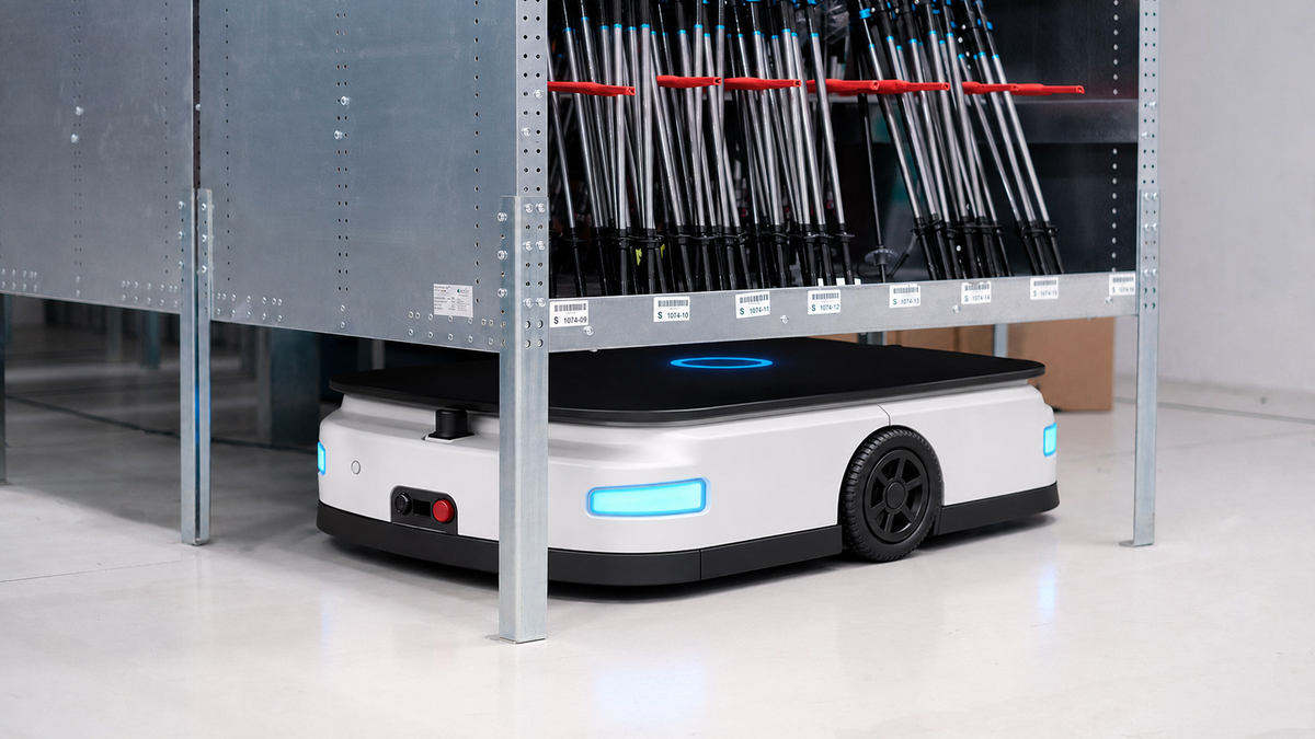 Lifting automated robot carrying a compatible mobile rack with long-handled tools