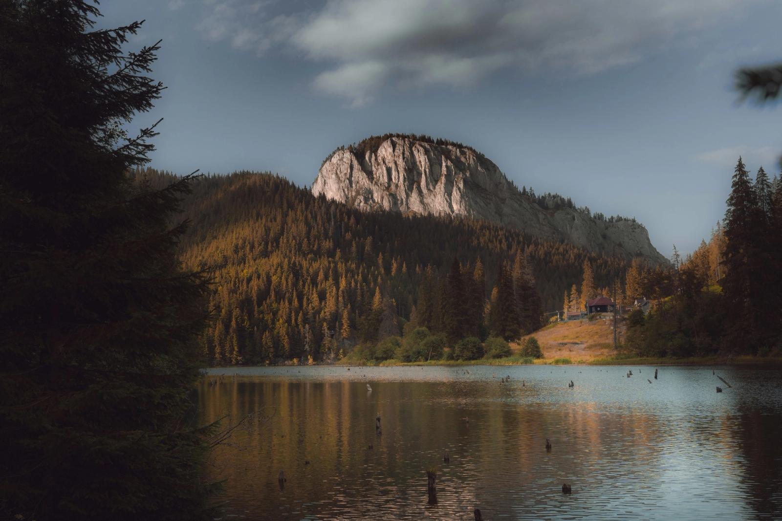 calm nature cover photo