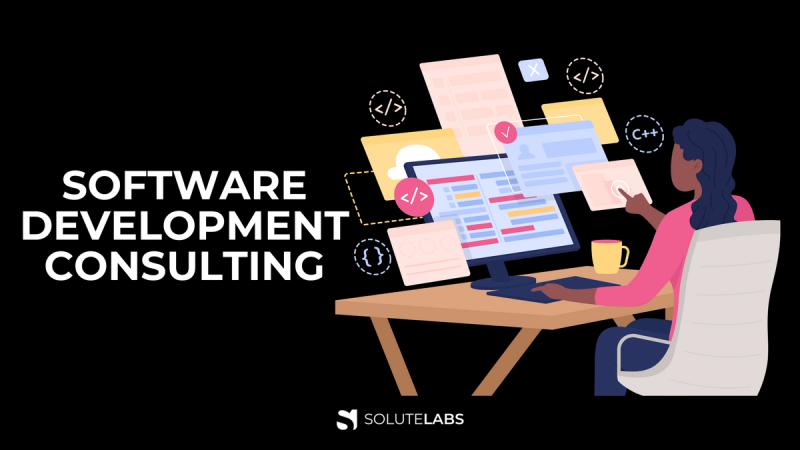 9 Ways Software Development Consulting Benefits Your Business