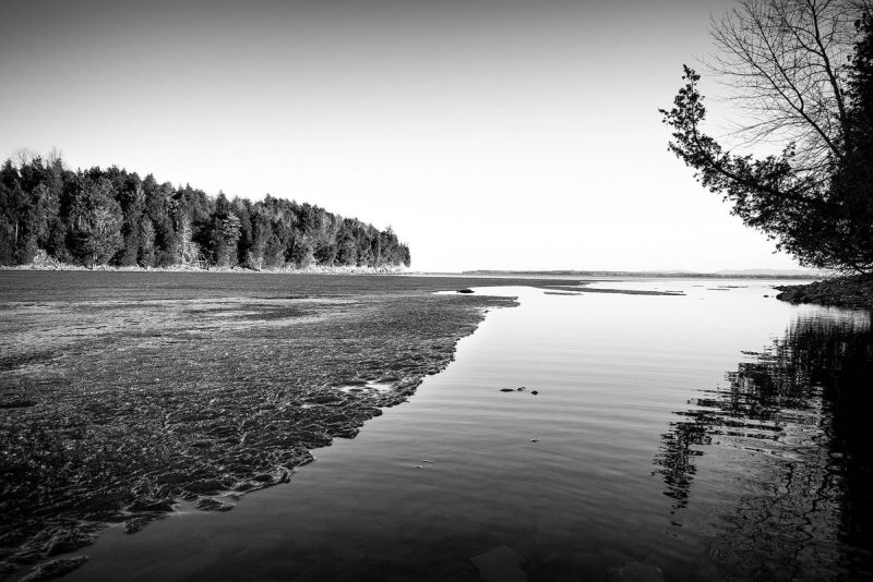 Margem de lago com mata ao fundo, em preto e branco