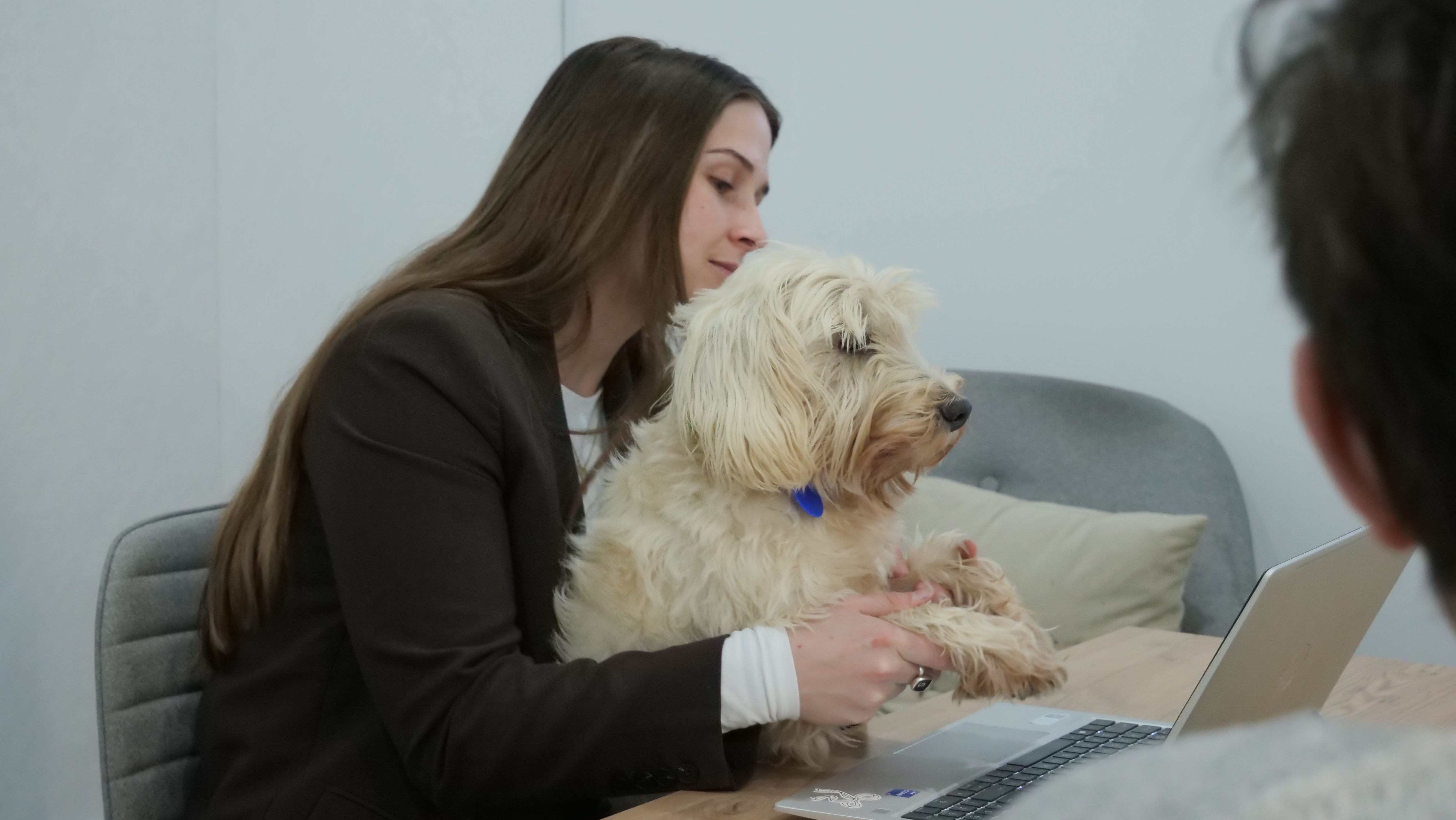 30 words per minute office dog