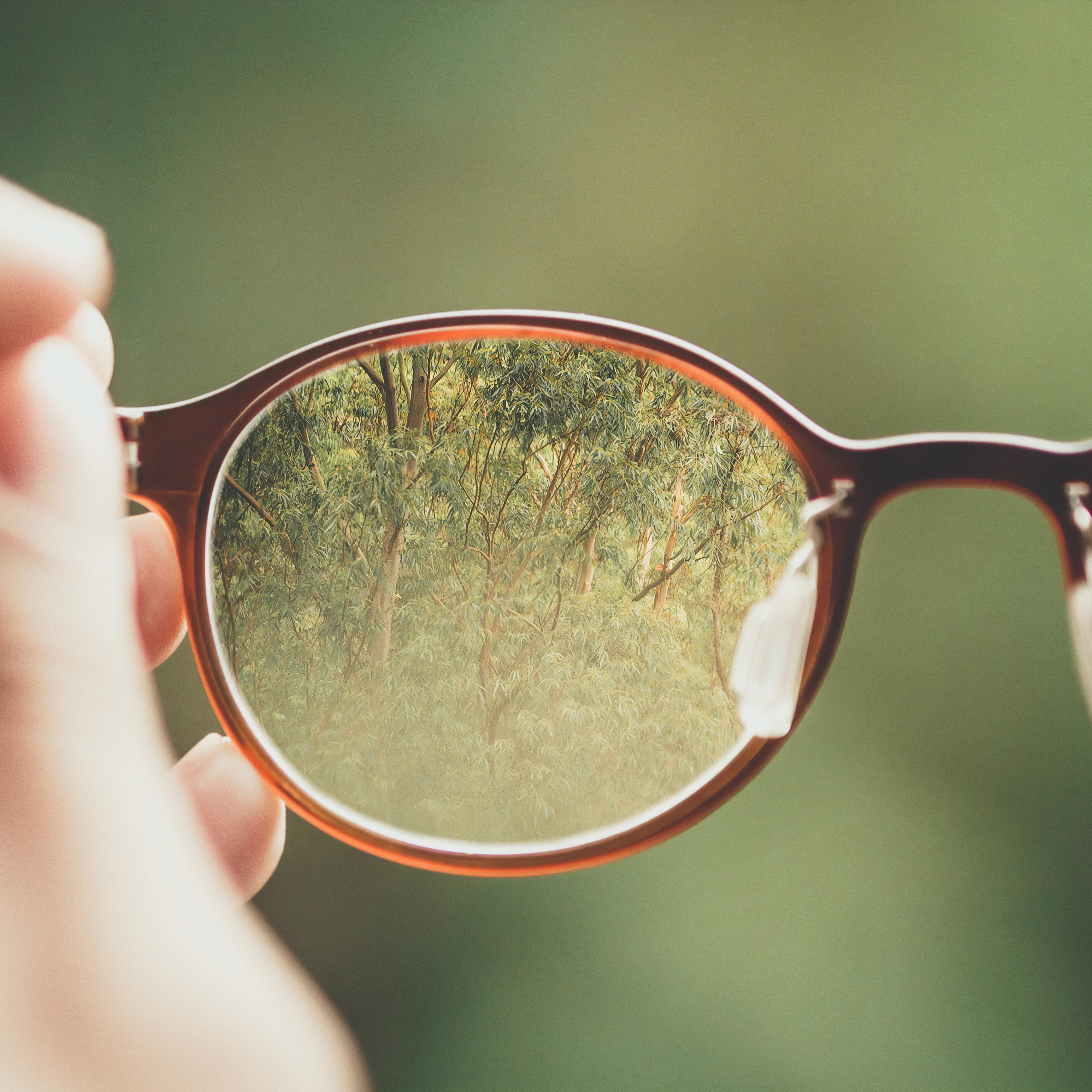 Glasses with an image of trees in focus within the frame.