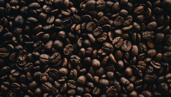 Variations Within FIRE: Pick Your Flavor of Freedom