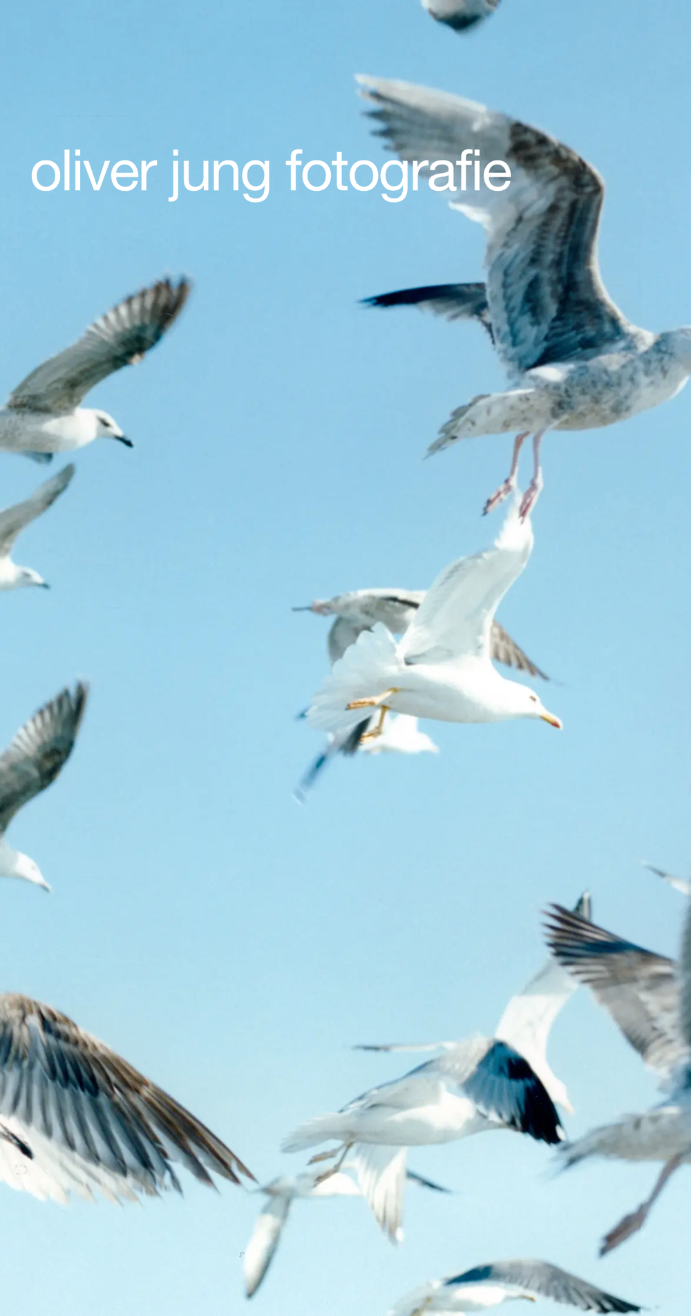 Screenshot from the mobile website showing oliver jung fotografie and a picture of some gulls flying and a blue sky
