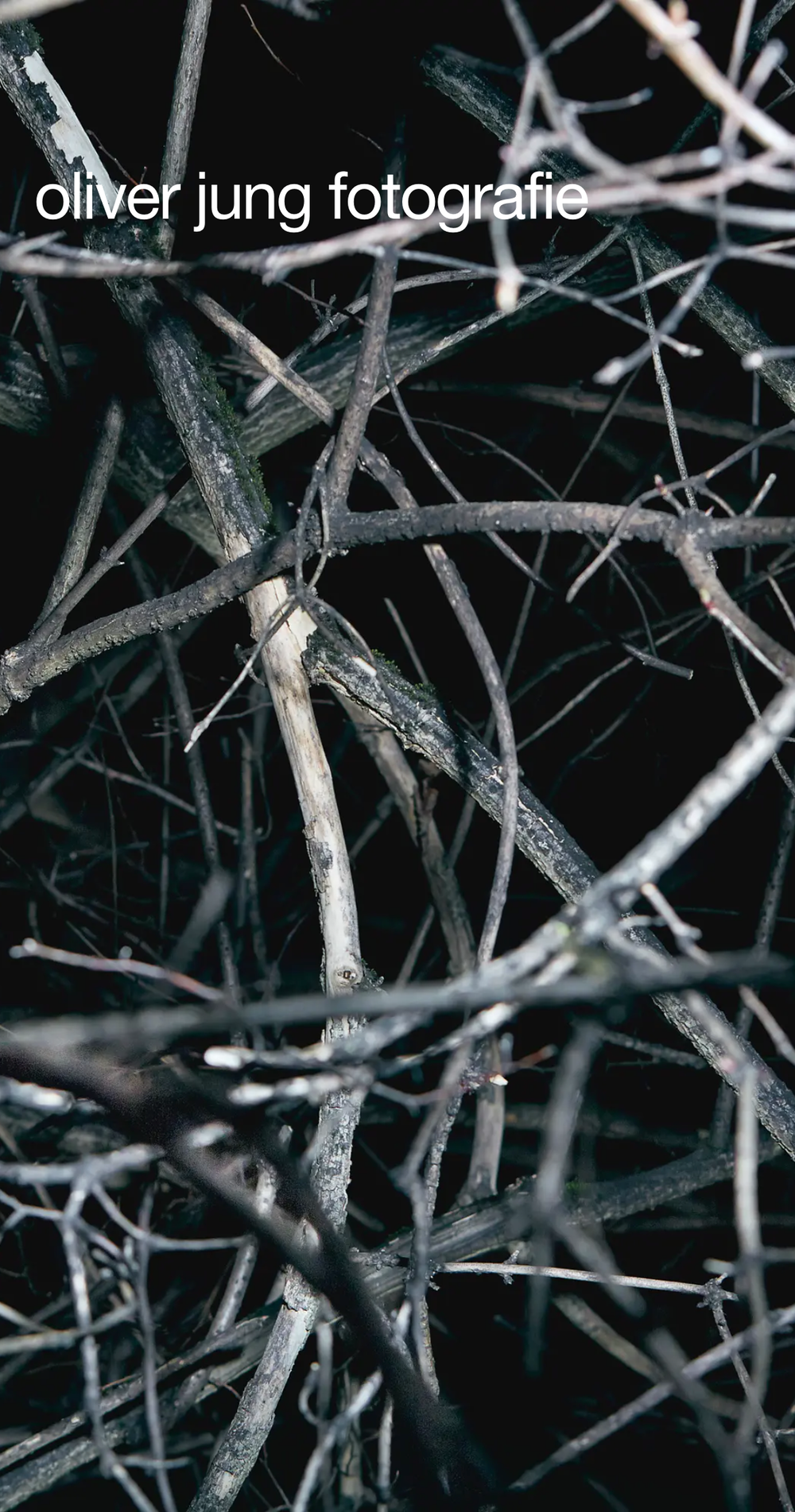 Screenshot from the mobile website showing oliver jung fotografie and a picture of brown scrub 