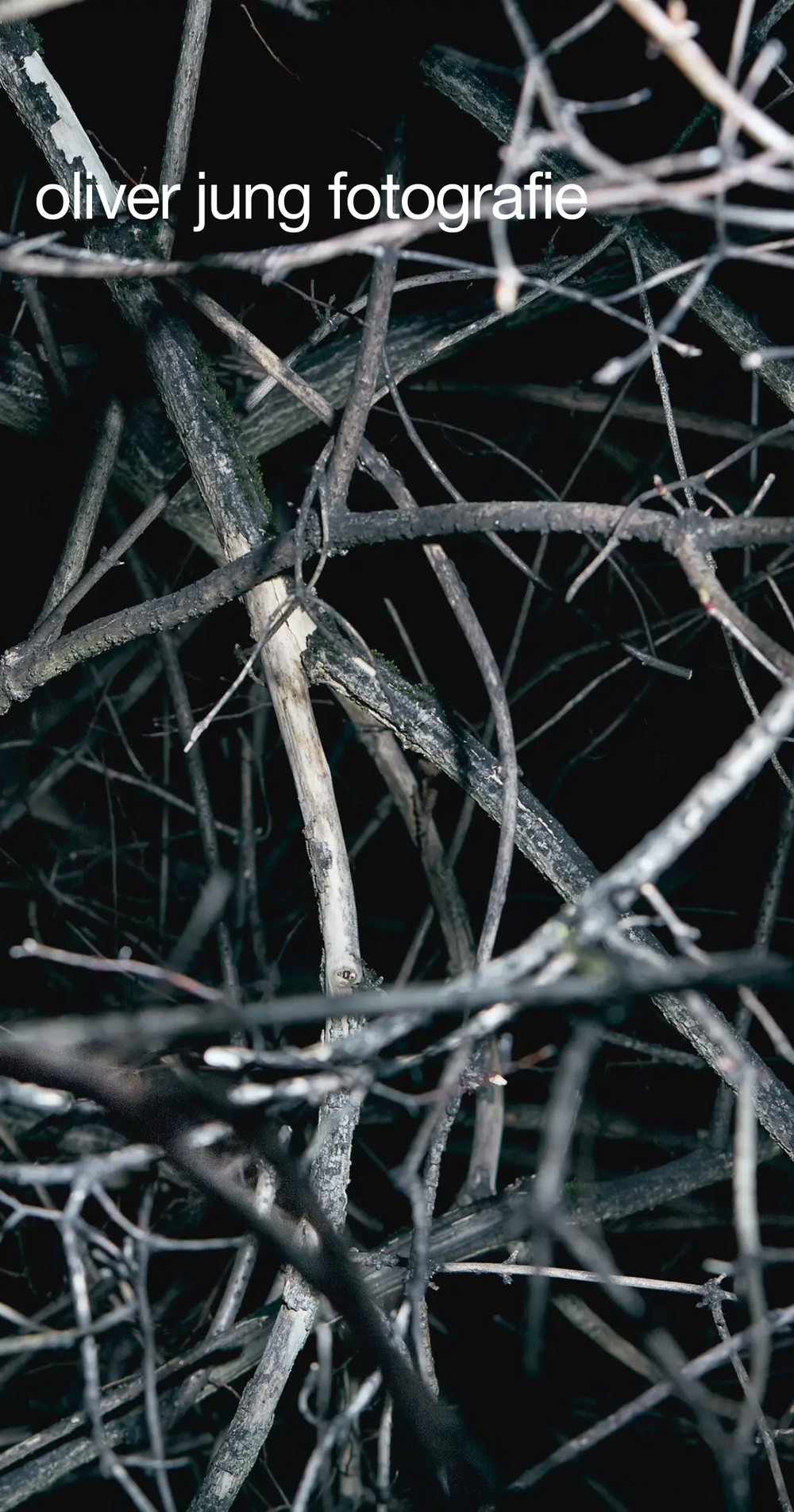 Screenshot from the mobile website showing oliver jung fotografie and a picture of brown scrub