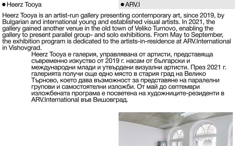 Screenshot of the Heerz Tooya website showing the About page with a large text in English and Bulgarian