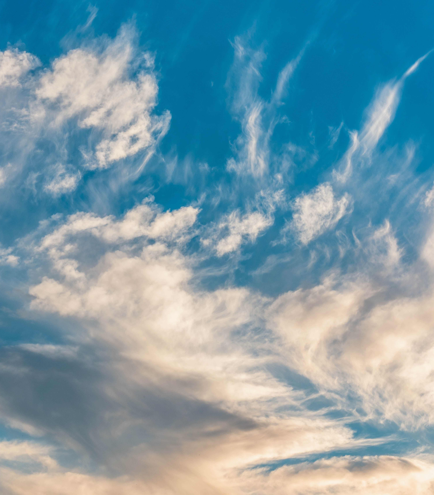 Reinventing Indoor Air Quality & Energy Analysis with SaaS